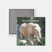 Bescherm de Olephants Magneet (Voorkant / Achterkant)