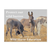 Bescherm onze Wilde Burros