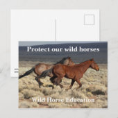 Bescherm onze wilde paarden briefkaart (Voorkant / Achterkant)