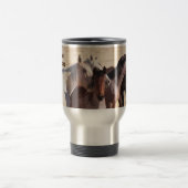 Bescherm onze wilde paarden WAAR Reisbeker (Center)