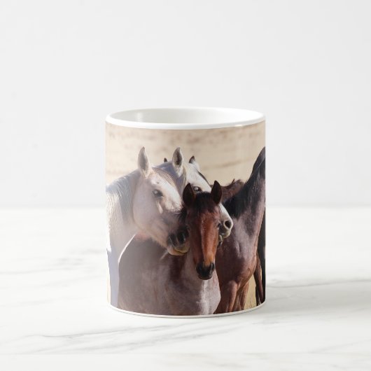 Bescherm onze wilde paarden WANNEER Mok (Center)