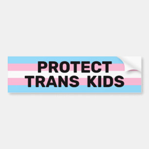Bescherm Trans-Kinder Transvlag Bumpersticker