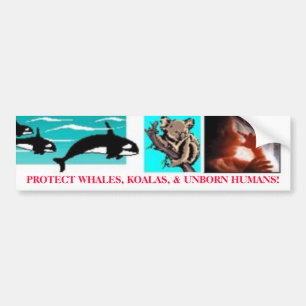 BESCHERM WALVISSEN, KOALA'S EN ONGEBOREN MENSEN! BUMPERSTICKER