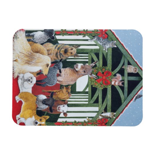 beschermd magneet (Horizontaal)