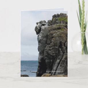 Beschermer in Steen Kaart