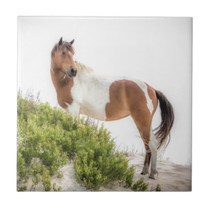 Beschermer van de duinen tegeltje