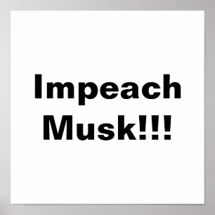 Beschuldig Musk! Poster