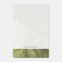 Besler Dramatique I