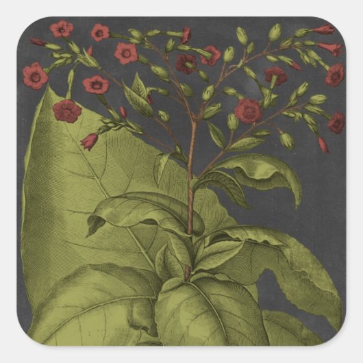 Besler Dramatique I Vierkante Sticker (Voorkant)