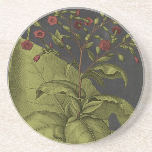 Besler Dramatique I Zandsteen Onderzetter (Voorkant)