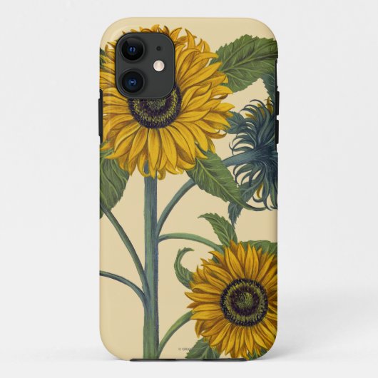 Besler: Zonnebloem Case-Mate iPhone Case (Achterkant)