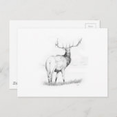 Beslissing Briefkaart (Voorkant / Achterkant)