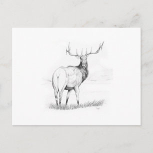 Beslissing Briefkaart