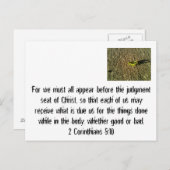 Beslissingsdag Briefkaart (Voorkant / Achterkant)