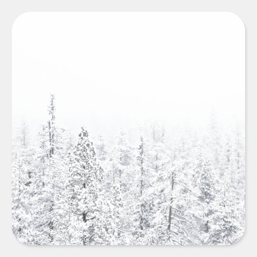 Besneeuwd bos vierkante sticker (Voorkant)