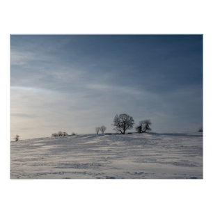 Besneeuwd landschap perfect poster