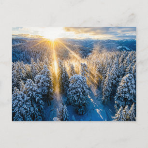 Besneeuwd sparrenbos vanuit bovenaanzicht briefkaart
