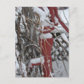 Besneeuwd tuinscene briefkaart (Voorkant)