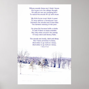 Besneeuwd winterlandschap poster