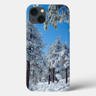 Besneeuwde bomen in de Laguna Mountains iPhone 13 Hoesje