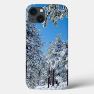 Besneeuwde bomen in de Laguna Mountains iPhone 13 Hoesje