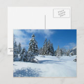 Besneeuwde bomen, winterlandschap briefkaart (Voorkant / Achterkant)