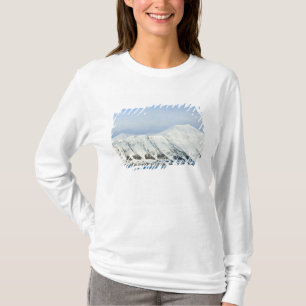 Besneeuwde toppen Woodfjord Svalbard 2 T-shirt