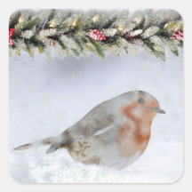 Besneeuwde Winter Sneeuwvink Kerstmis