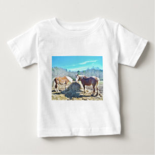 Bespaar conceptpaarden die hooi eten