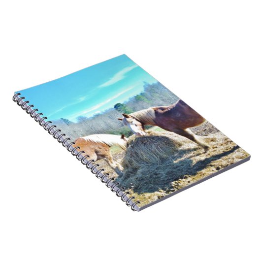 Bespaar conceptpaarden die hooi eten notitieboek (Rechterzijde)