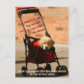 Bespaar de Dog die de senator Boxer afloopt! Briefkaart (Voorkant)