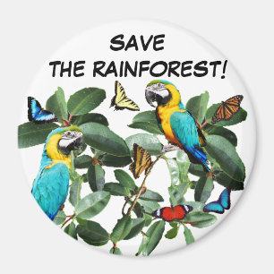 BESPAAR DE RAINFOREST    MAGNEET