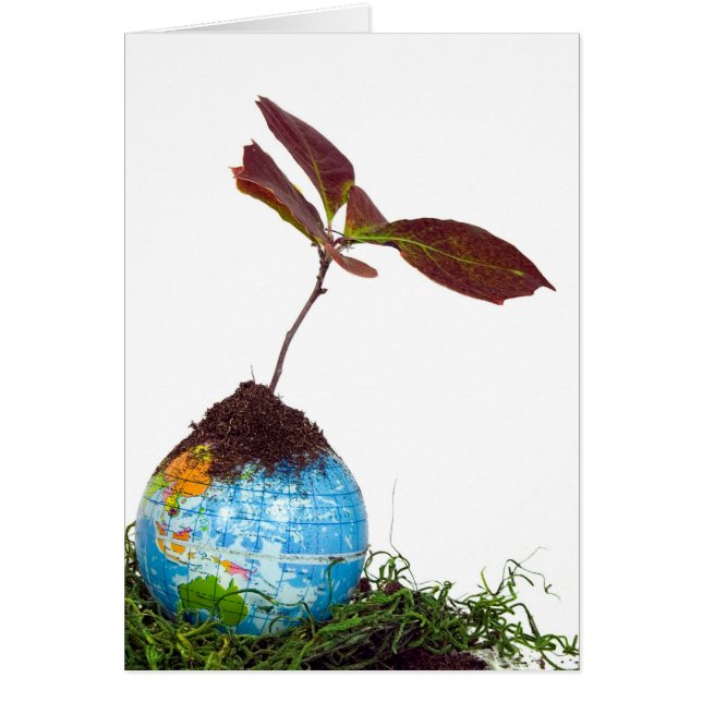 Bespaar de wereld (Voorkant)