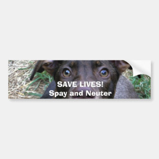 BESPAAR LEVEN!Spay en Neuter Bumpersticker