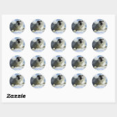 BESPAAR ONZE HARP SEALS Design Ronde Sticker (Vel)