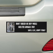 BESPAAR SHELTER DIEREN... BUMPERSTICKER (Op auto)