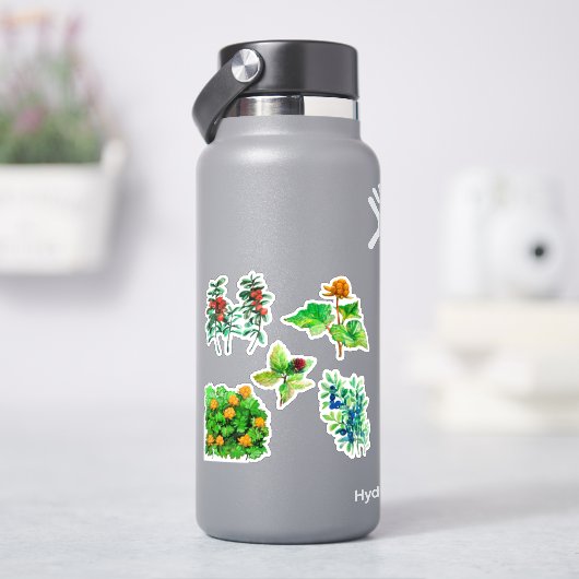 Bessen, bosbes, lingonberry, cloudberry sticker (HydroFlask)