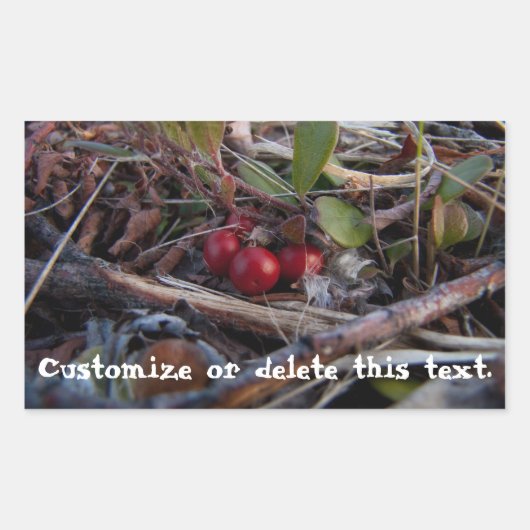 Bessen en twijgen; rechthoekige sticker (Voorkant)