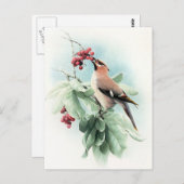 Bessen om te eten briefkaart (Voorkant / Achterkant)