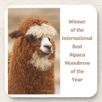 Best Alpaca Monobrow Bier Onderzetter