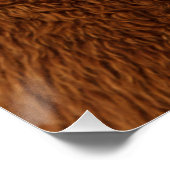 Best Alpaca Monobrow Perfect Poster (Hoek)