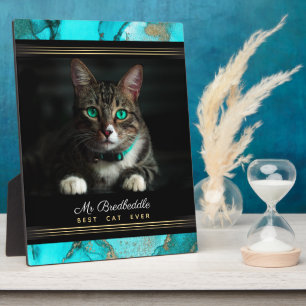 Best Cat Ever Genoemd fotosjabloon Blauwgroen Abst Fotoplaat