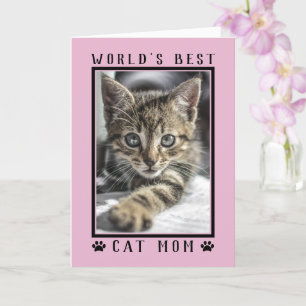 Best Cat Mam Happy Birthday Foto Roze Kaart