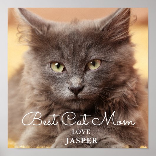 Best Cat Mam Photo Poster (Voorkant)