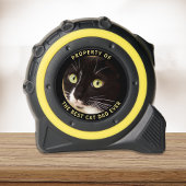 Best Cat Pap Ever Foto Rolmaat