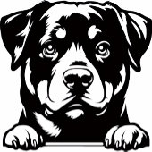  Best Dad from Your Rottweiler Buddy Golfheadcover