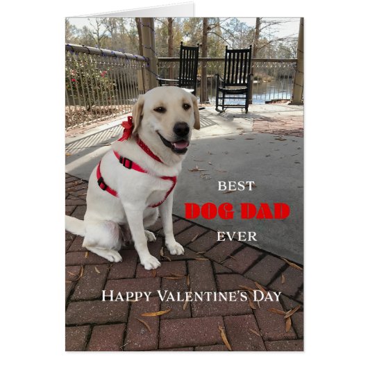 Best Dog Dad Valentijn Labrador Cute (Voorkant)
