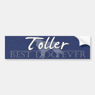 Best Dog Duck Toller Bumpersticker