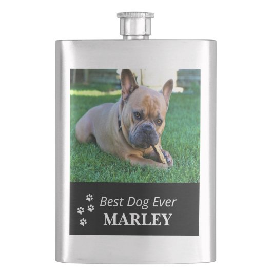 Best Dog Ever Classic Flask Flacon (Voorkant)