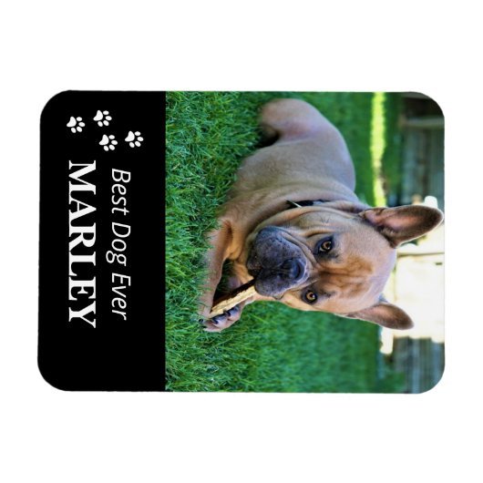 Best Dog Ever Flexible Photo Magnet Magneet (Horizontaal)
